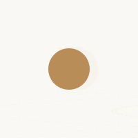 Animación del ciclo lunar completo.